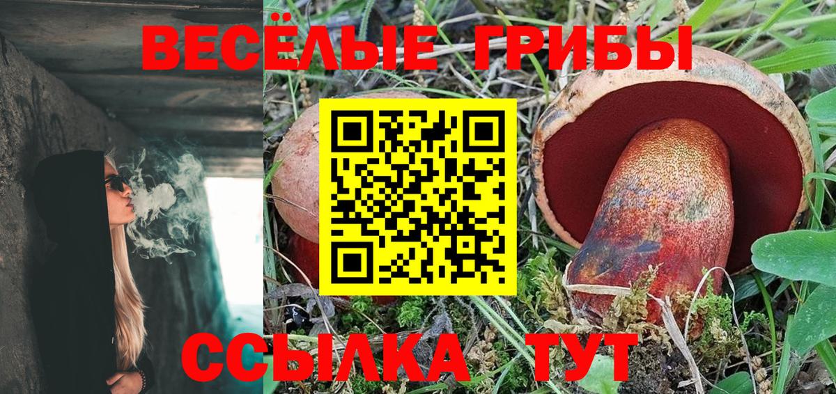 Псилоцибиновые грибы Cubensis  Вход с VPN  Псилоцибиновые грибы Psilocybine cubensis  Тайшет 